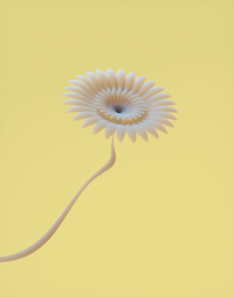 Butter Sun//