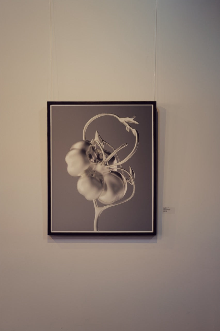 Grey Object//