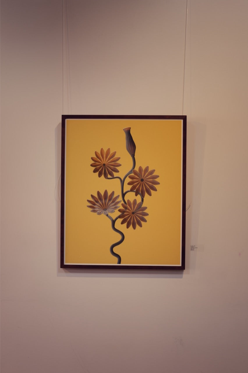 Été Pâle//