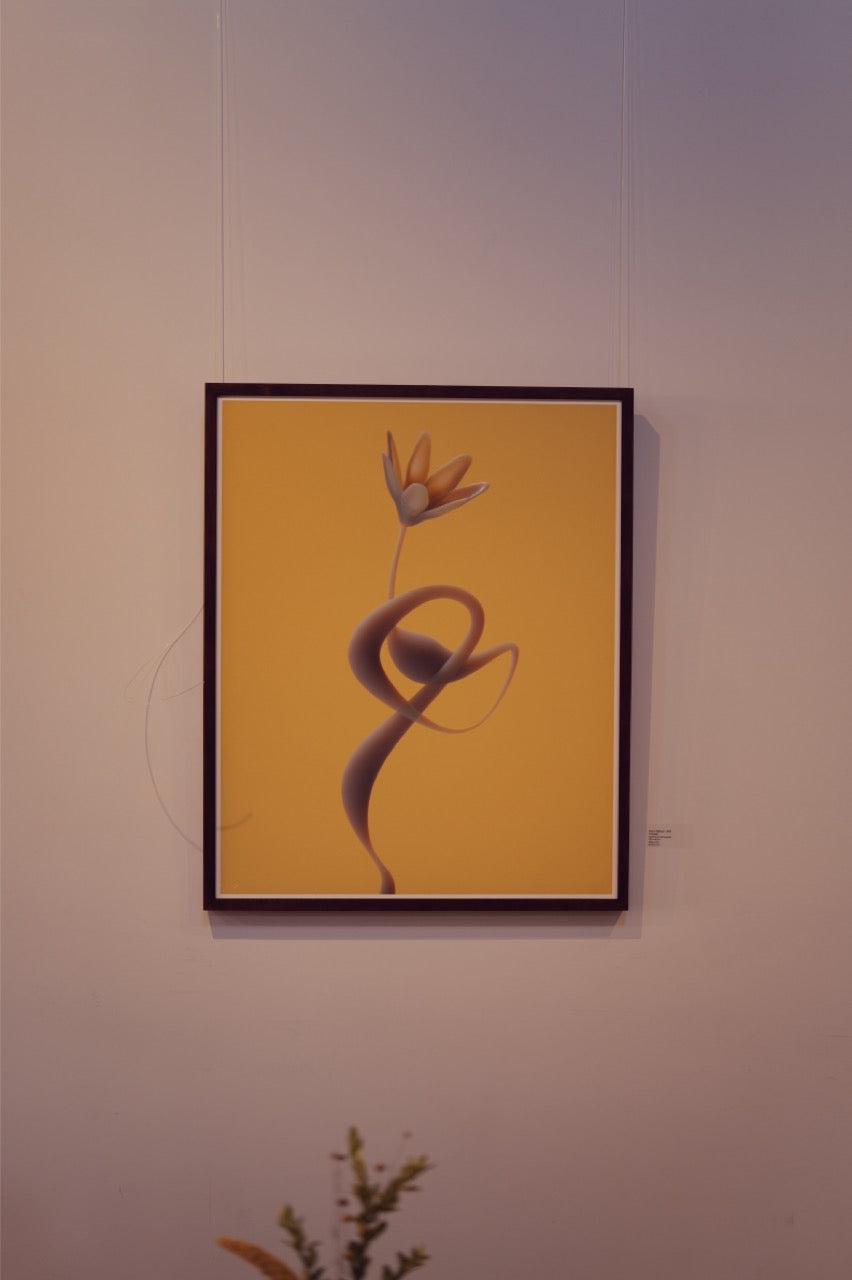 Douce Matinée//